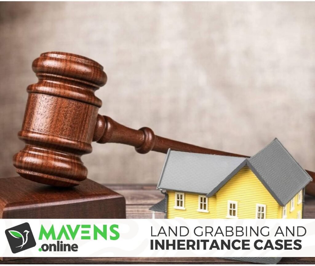 Land Grabbing and Inheritance Cases Mavens Online